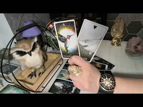 Видео: 🔥🤦О чем и с кем он разговаривает о Вас и советуется🔥🤦