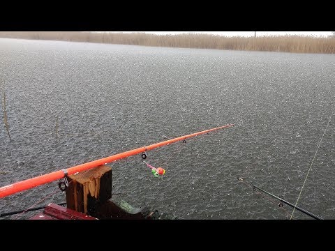 Видео: ОГРОМНЫЕ КАРАСИ В ГРАД И ЛИВЕНЬ С 6 МИНУТЫ