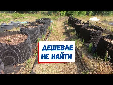 Видео: Самые дешевые контейнеры для голубики