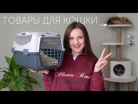 Видео: ЧТО Я КУПИЛА КОШКЕ ЗА ГОД: нужно ли это? Обзор товаров для питомца