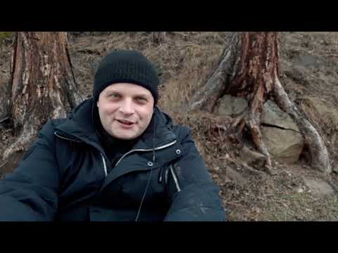 Видео: ЖИЗНЬ СОЛО - что с тобой случится через два года