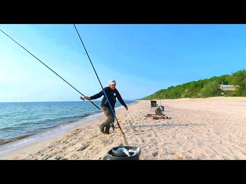 Видео: Клев на Балтике 2025: не успеваешь бегать с удочками. Ловля Камбалы в море.
