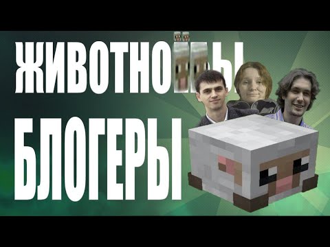 Видео: Блогеры животнолюбы