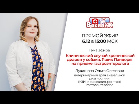 Видео: Хроническая диарея у собаки. Ящик Пандоры на приеме гастроэнтеролога. Лукашова О.О.