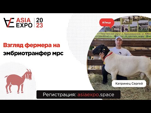 Видео: В чем же преимущества породы дорпер? Что такое эмбриотрансфер МРС?