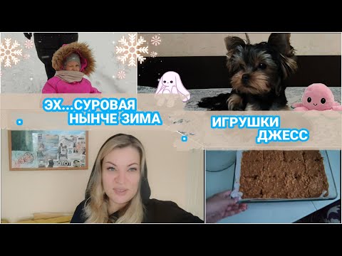 Видео: Влог: Игрушки Джесс / Суровая нынче зима