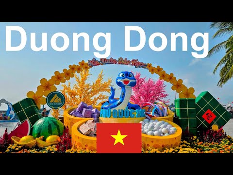 Видео: Фукуок. Экскурсионная пробежка 🏃‍♂️ Центр, город Дуонг Донг. К северной части по пляжам до Венеции.