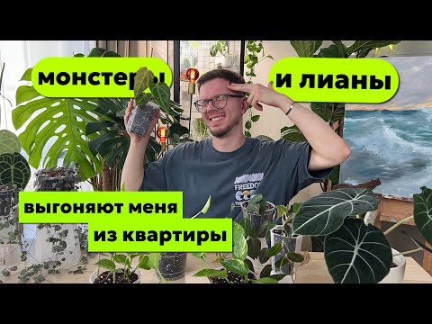 Видео: ПЕРЕСАДКА | АНТУРИУМ | ЦЕРОПЕГИЯ | ЭПИПРЕМНУМ | ФИЛОДЕНДРОН. Растения, которые выгонят вас из дома