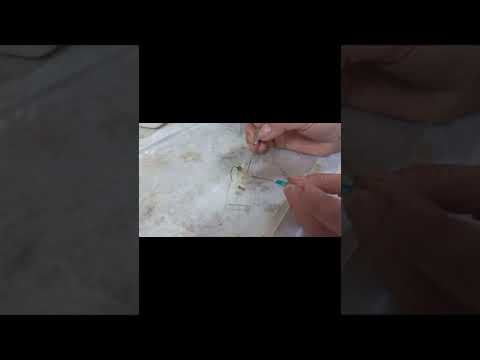 Видео: Микроскопический анализ сырья цветки