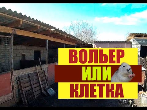 Видео: Содержание нутрий, вольер или клетка.Личное мнение.