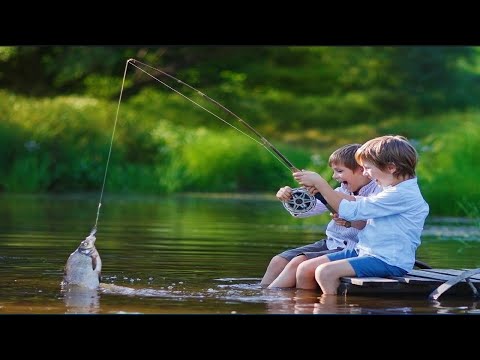 Видео: Платная рыбалка в Литве, кафе „Žvejų namai“, вид отдыха.#lithuania #litva #рыбалка