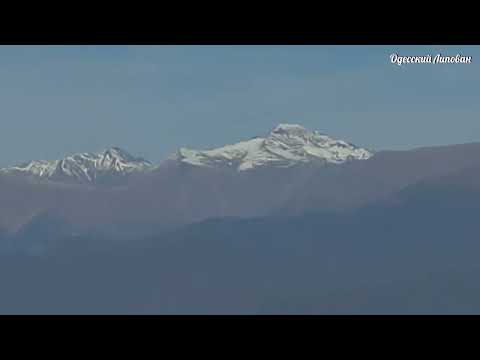 Видео: Что посмотреть в Кахетии? Алазанская Долина / Мимино Липован Грузия 2025