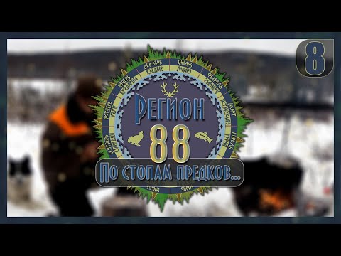 Видео: Регион 88 | Пушной промысел. Охота на соболя - 8 часть. | Сезон 2020 |