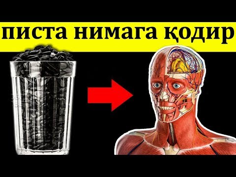 Видео: ПИСТАНИ ХАР КУНИ ИСТЕМОЛ ҚИЛИШ БУНДАЙ ОҚИБАТЛАРГА ОЛИБ КЕЛАДИ