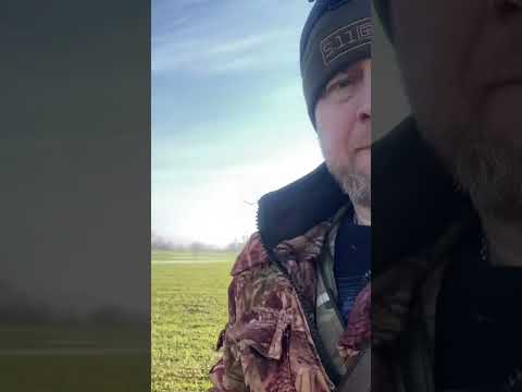 Видео: Охота 04.23  добор утянул