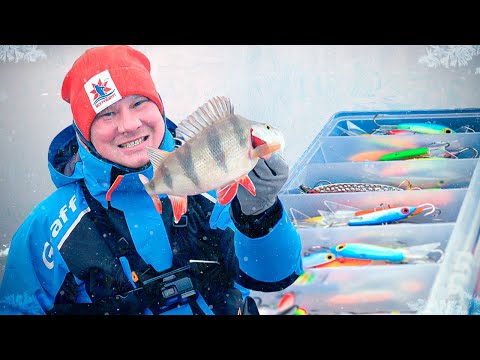 Видео: ХОЧЕШЬ ловить ОКУНЯ - не делай ОШИБОК как я! Первый лед. Ловля окуня на балансир.