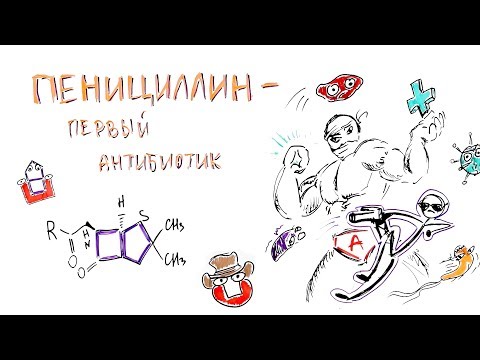 Видео: Пенициллин - первый антибиотик