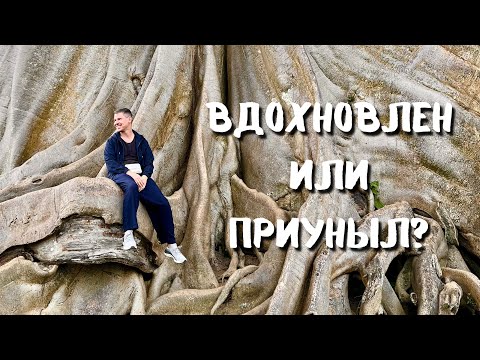 Видео: Вдохновение есть? А если найду?