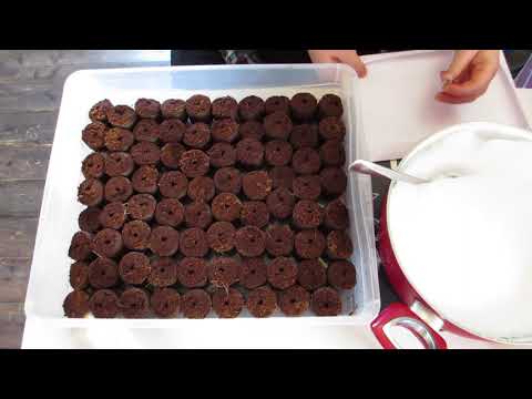 Видео: Уникальный и эффективный способ  посева земляники (клубники) в торфяные таблетки.