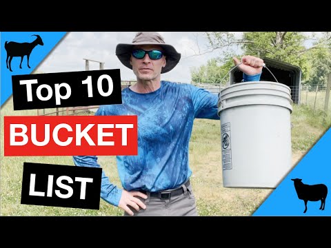 Видео: 10 лучших вещей, которые я беру с собой на работу: козы и овцы