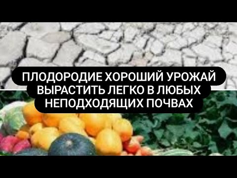 Видео: Что нужно для хорошего урожая от чего зависит плодородие почвы