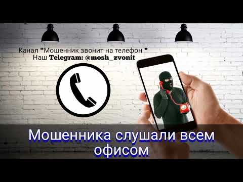 Видео: Мошенника слушали всем офисом