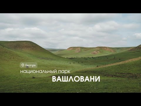 Видео: ВАШЛОВАНИ — САМОЕ ДИКОЕ МЕСТО В ГРУЗИИ 🌵 Пустыня, каньоны и сафари с джейранами!