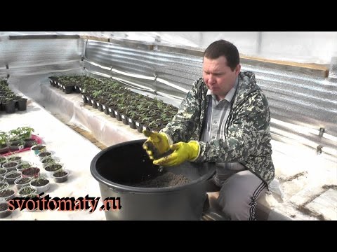 Видео: Как кардинально улучшить покупной грунт