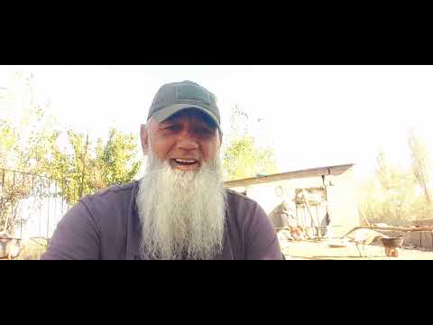 Видео: ,,БОБОШ БА ЧИ КОРУ БОР ҲАСТИ,,