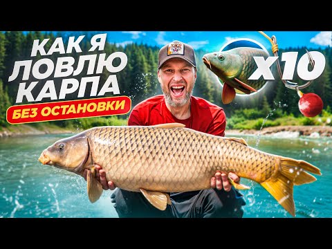 Видео: КАК ПОЙМАТЬ МНОГО КАРПА за ОДИН ДЕНЬ? Советы по прикормке и тактике на короткой рыбалке!