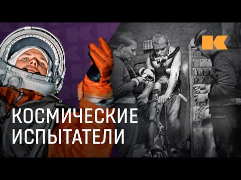 Видео: До и после Гагарина. Истории космонавтов номер ноль, рассказанные ими самими