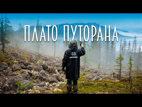 Видео: Путешествие в сердце дикого Севера: плато Путорана