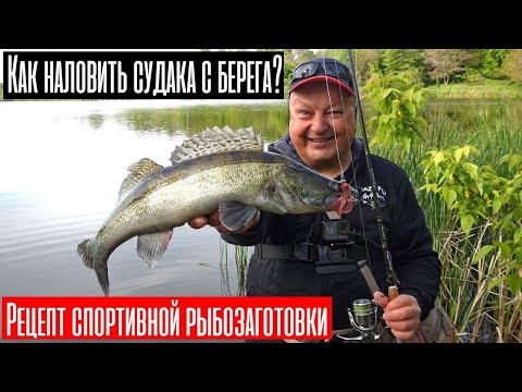 Видео: Как наловить судака с берега? | Рецепт спортивной рыбозаготовки с Crazy Fish Arion 862 MLS