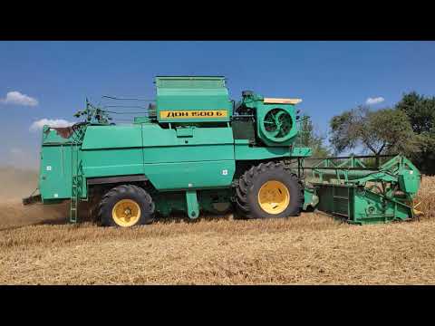 Видео: ДОН 1500Б. Уборка. МТЗ 892.2,  2021