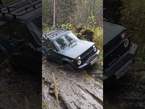 Видео: Выезд из ручья #2024 #automobile #offroad #forest #summer #nature #adventure #природа #лето #нива