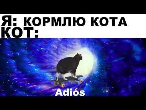 Видео: Мемы | Дневная подборка мемов 145