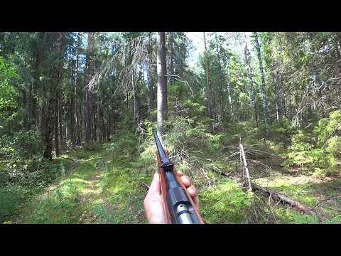 Видео: ДИЧЬ ПЫТАЛАСЬ НА МЕНЯ НАПАСТЬ, А Я БЫЛ С МЕЛКАШКОЙ...