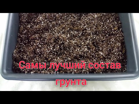 Видео: Самый лучший грунт для фиалок. Что не стоит добавлять в состав грунта?