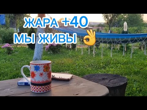 Видео: Удушающая жара. Но мы держимся☺️🤗