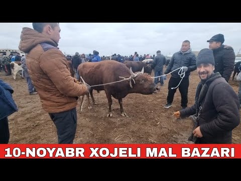 Видео: 10-НОЯБРЬ/ХОЖЕЛИ МАЛ БАЗАРЫ/СКОТНЫЙ РЫНОК/BUQALAR/BIG BULLS IN THE WORLD/BIG COW