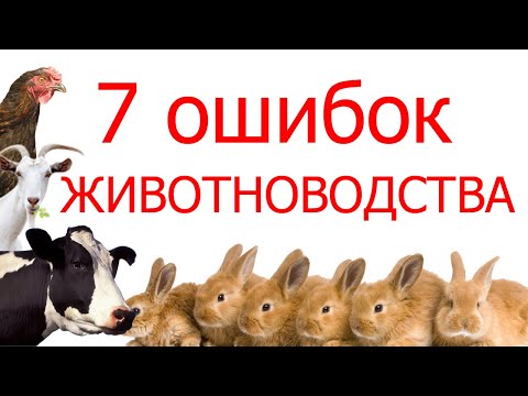 Видео: 7 ошибок животноводства