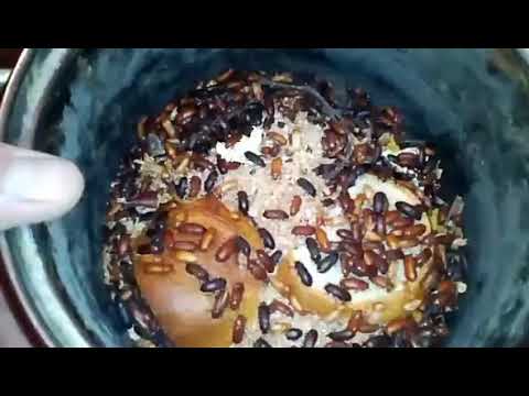 Видео: Мучной червь.часть 1.