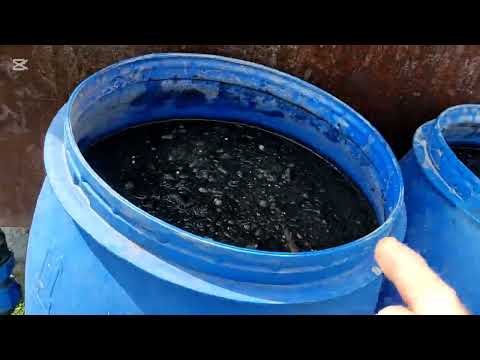 Видео: Зола - как удобрение. Часть 2