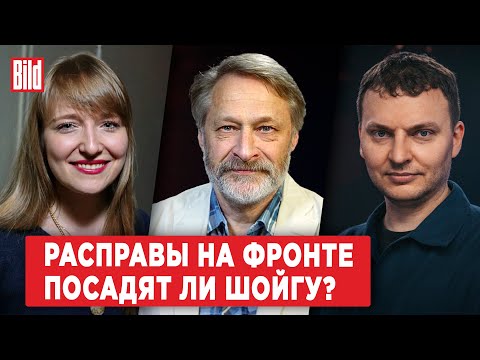 Видео: Дмитрий Орешкин, Илья Шепелин, Александра Филиппенко | Обзор от BILD