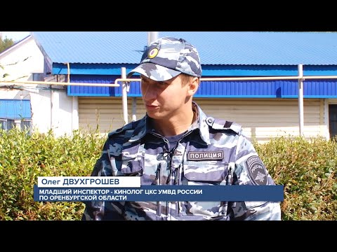 Видео: Один день. Кинолог