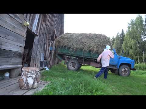 Видео: ГАЗ-53 ДИЗЕЛЬ, В ДЕРЕВНЕ БЕЗ НЕГО НИКАК. СЕНОКОС НА СТАРОМ ГАЗИКЕ.