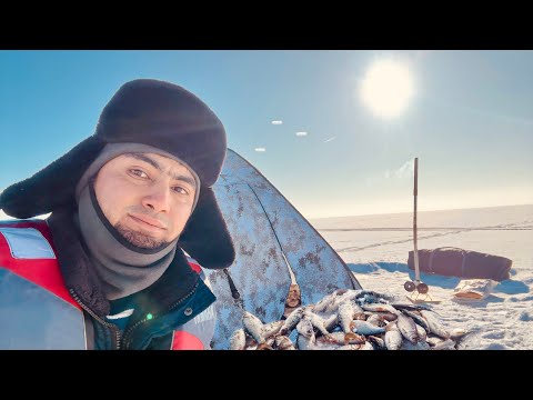 Видео: Капчагай!Песчаная Коса+Разведка Нового Места.Рыбалка удалась воблу нашли!10.02.2025