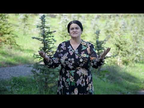 Видео: Назират Ханбалаева   Фируза 2023 New