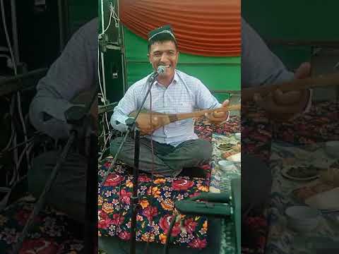 Видео: Кобил бахши шурчи туманида саксан капа махалласида Чори запчасчи туйида