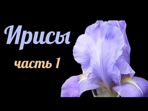 Видео: Ароматы с нотой ИРИСА - Часть 1 - 18 ароматов, которые ушли из коллекции